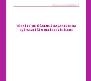 Türkiye'de Öğrenci Başarısında Eşitsizliğin Belirleyicileri